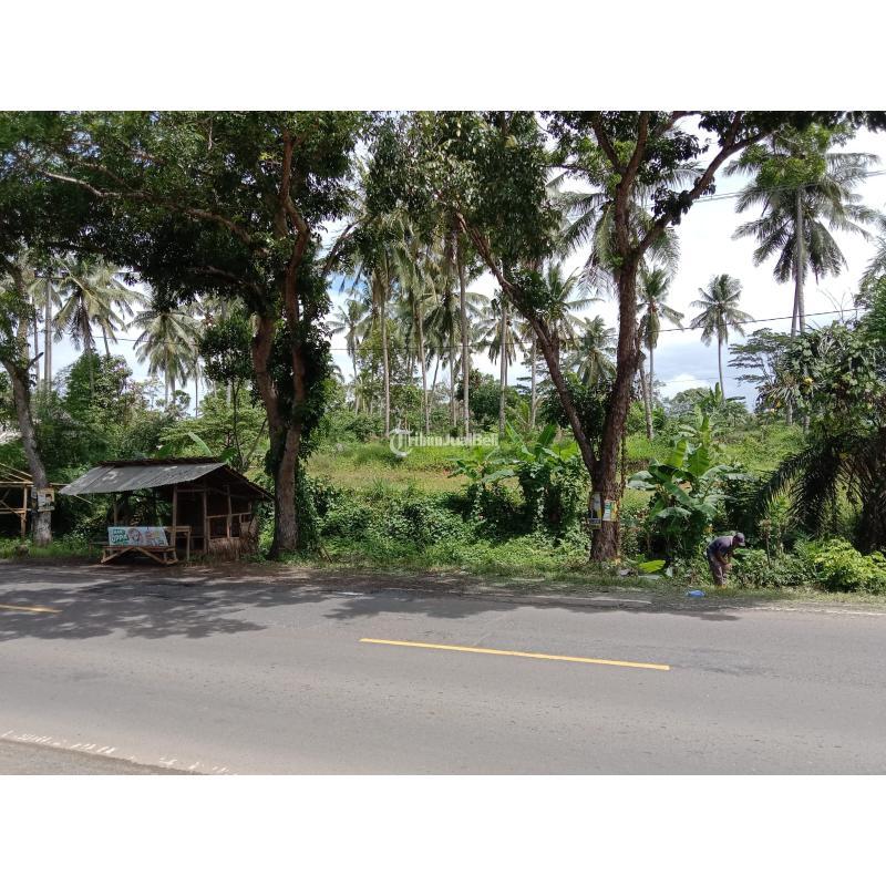 LAHAN SIAP BANGUN DI PINGIR JALAN LINTAS SUMATRA LAMPUNG SELATAN