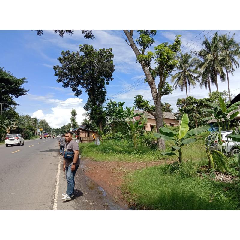 LAHAN SIAP BANGUN DI PINGIR JALAN LINTAS SUMATRA LAMPUNG SELATAN