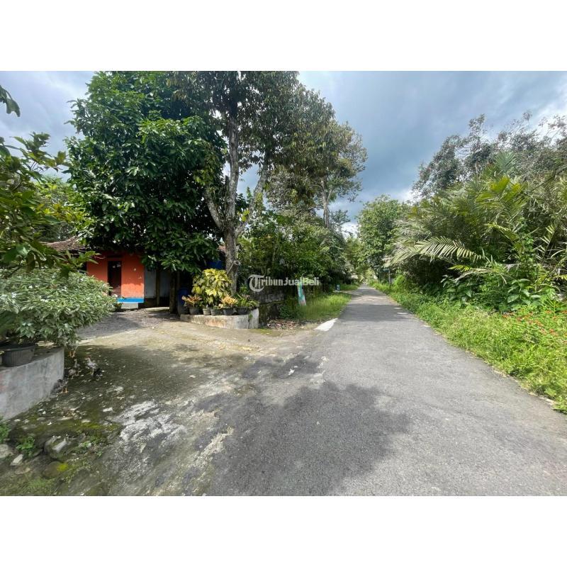 TANAH MURAH SLEMAN UTARA 1 JUTAANMETER DEKAT DENGAN KLINIK SWA