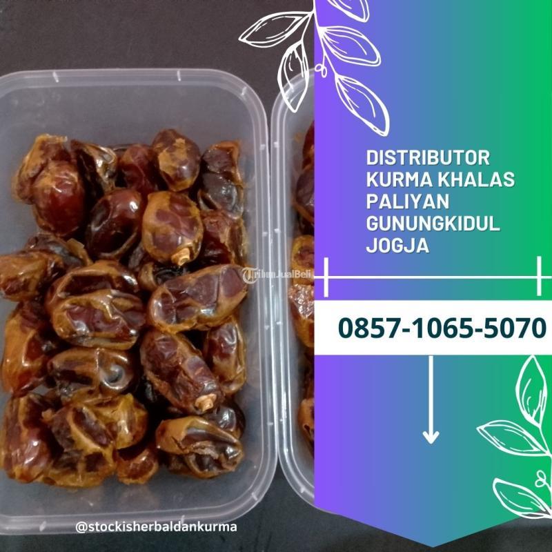Distributor kurma khalas panggang Gunungkidul Yogyakarta