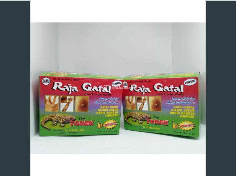 rajagatal raja gatal kapsul kemasan kotak 100original