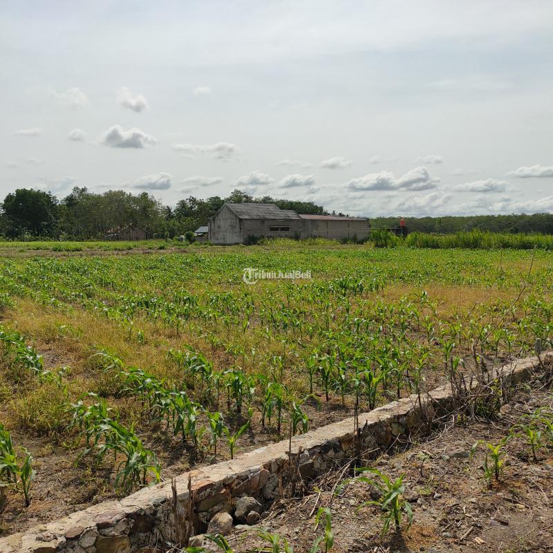 TANAH SAMPING POM BENSIN ITERA DEKAT KE PINTU TOL KOTABARU BISA KREDIT SYARIAH TANPA RIBA
