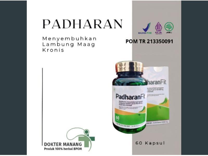 padharanfit asli original kapsul obat asam lambung maag kronis resmi herbal bpom