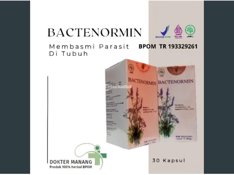 bactenormin 100 original obat parasit asli herbal resmi bpom