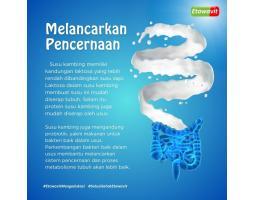 ETAWAVIT Susu Kambing Salah Satu Manfaatnya Adalah Melancarkan Pencernaan