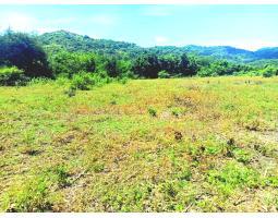 Tanah 700 ha zona pariwisata maritim Sumbawa Nusa Tenggara Barat