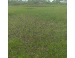 Tanah Sawah 400 M di Darussalam Siap Bangun Aceh Besar