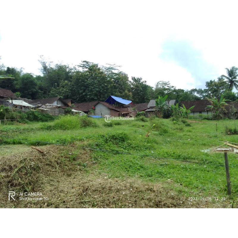 TANAH KAVLING MAGELANG DEKAT SMPN 3 SALAMAN