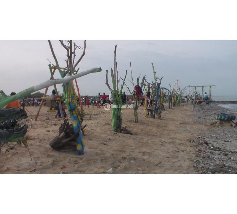 Crab House Rumah Kepiting Tersedia Kepiting Hidup dan Matang Mr Mustakhim Panggung Jepara