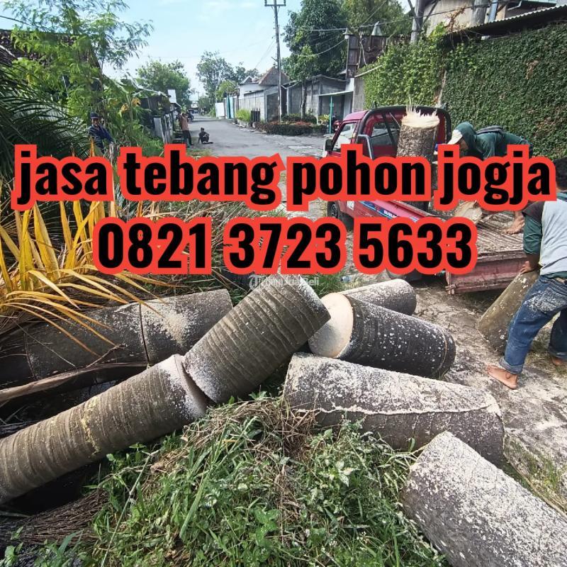 Jasa Tebang Pohon Wilayah Jogja Tarif Sesuai Skala Dan Medan Lokasi Di ...