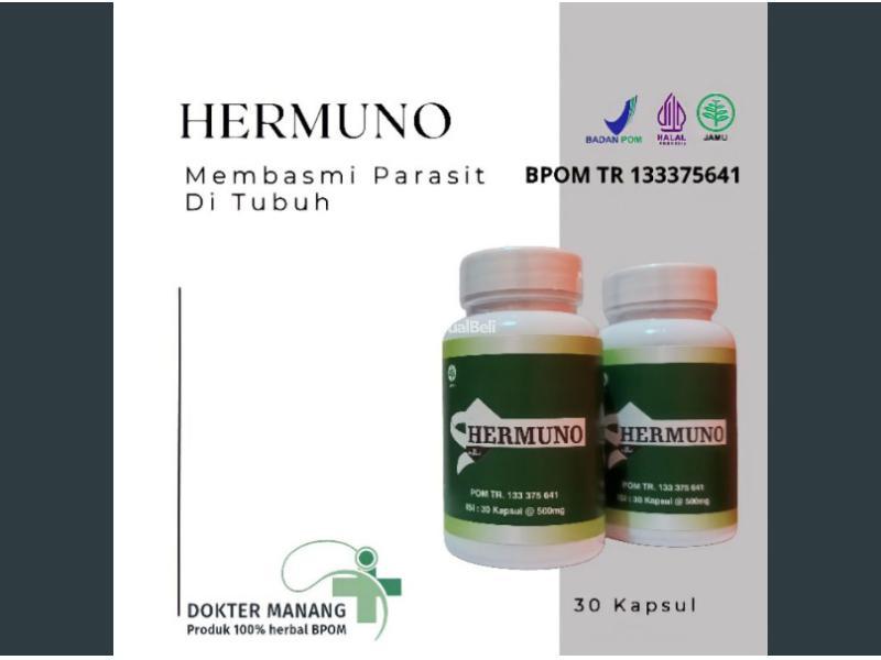 hermuno asli 100 original produk herbal intoxic obat pembasmi parasit dalam tubuh resmi bpom