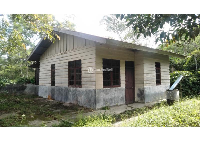 Rumah dan Perkebunan Kopi Legalitas SHM Aceh Tengah
