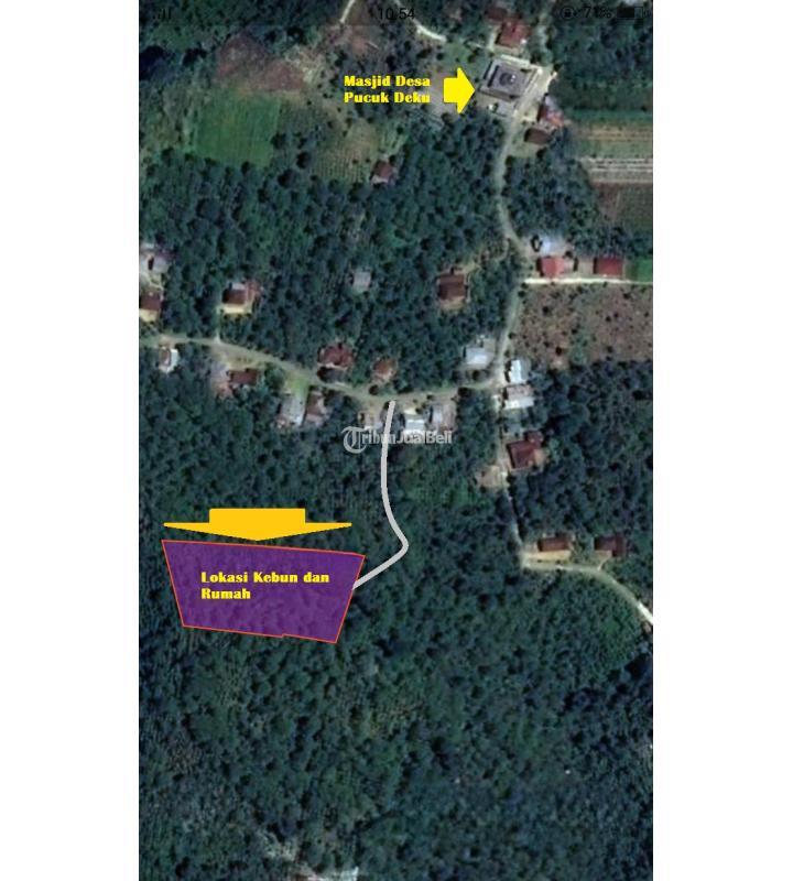 Rumah dan Perkebunan Kopi Legalitas SHM Aceh Tengah