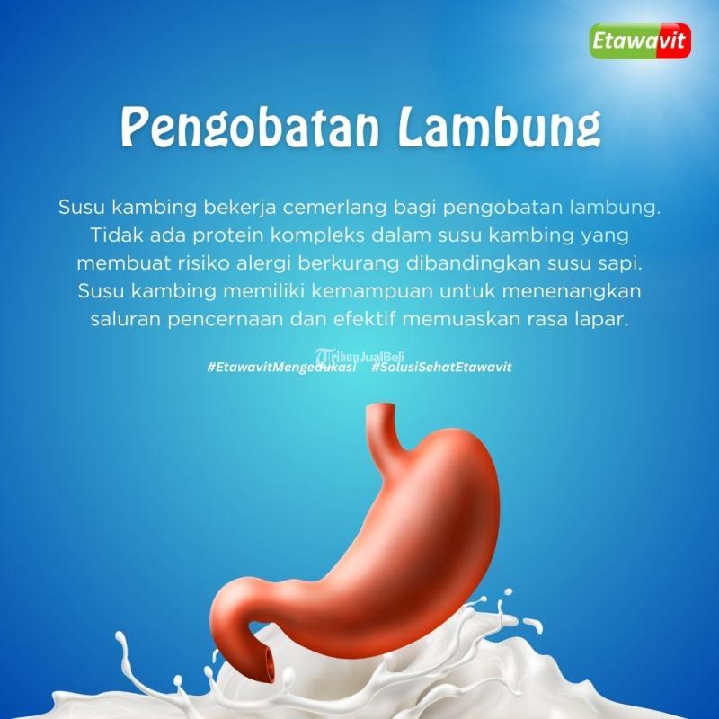ETAWAVIT Susu Kambing Bagus Untuk Kesehatan Lambung dan Melanjarkan Pencernaan