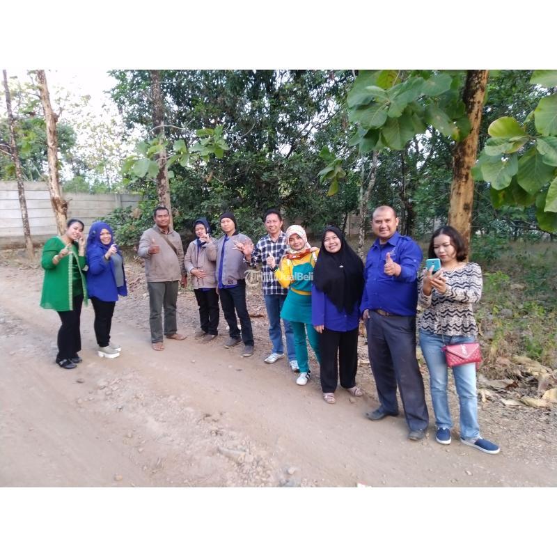 Harmoni Alam dan Kebijaksanaan Lokasi Kavling Terpilih di Sekitar Universitas Majalengka