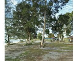 Tanah los pantai 4 Hektare di Pegantungan Belitung