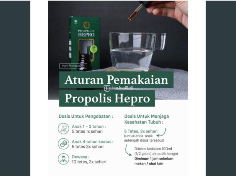 Propolis Hepro Trigona TBC , Sakit Liver , Anti HIV , Sinuitis, Bronkitis, Asma