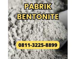 BERKUALITAS , Pabrik Lempung Bentonit di Pesisir Selatan, Pabrik Bentonite Untuk Kulit di Pesisir Selatan