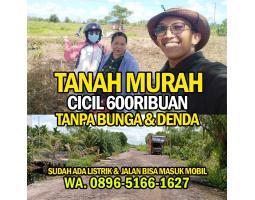 tanah murah pontianak bisa dicicil tanpa bunga dan denda