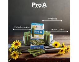 Pro A Premium Habbatussauda Black Garlic Immune Booster, Malang, Surabaya, Denpasar