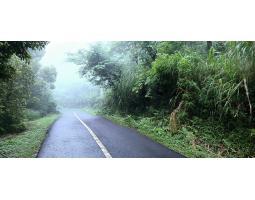 Tanah 15 are di Munduk Banjar Buleleng Bali