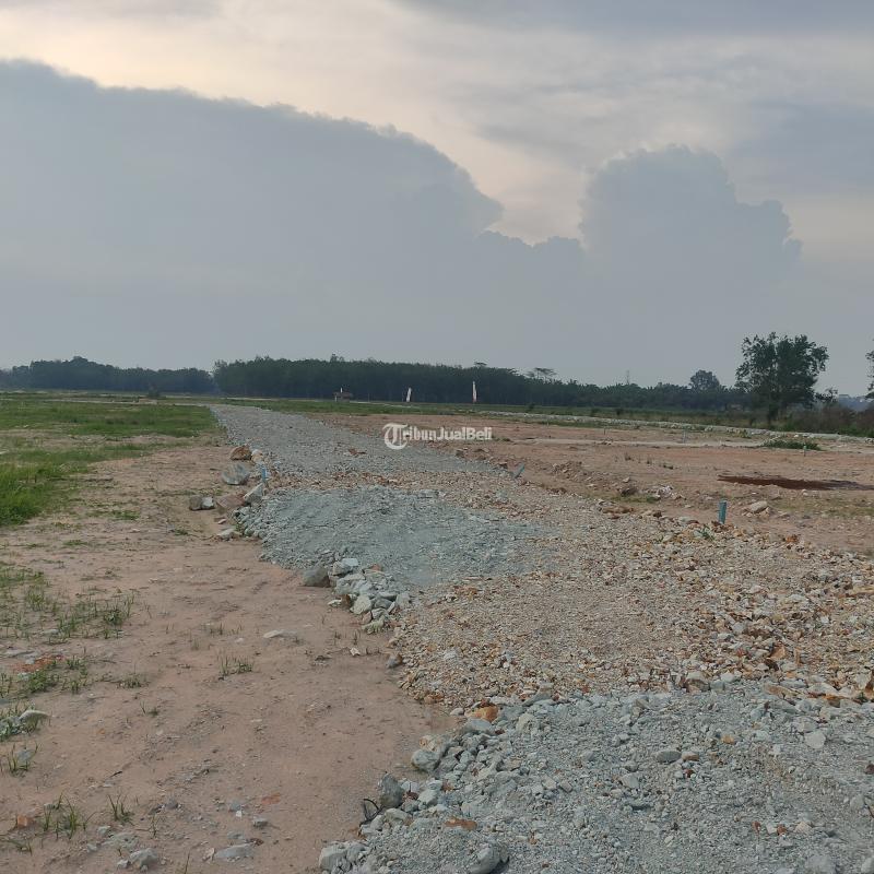 TANAH KREDIT TER DEKAT KAMPUS ITERA DAN DI SAMPING PONPES BISA SURAT TANAH SERTIFIKAT