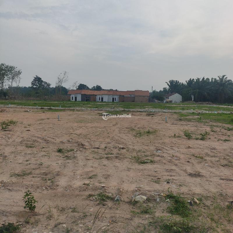 TANAH KREDIT TER DEKAT KAMPUS ITERA DAN DI SAMPING PONPES BISA SURAT TANAH SERTIFIKAT