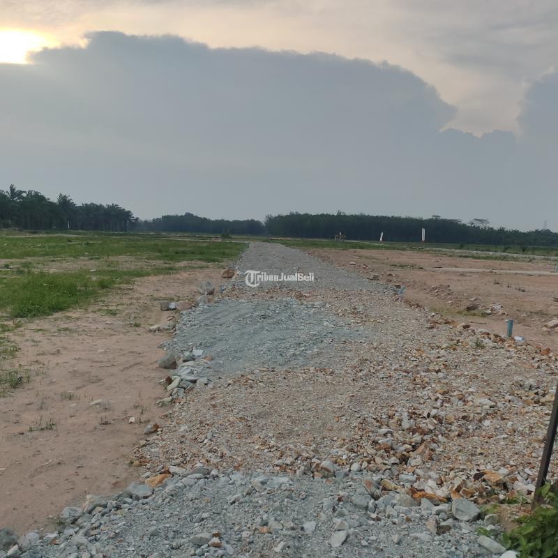 TANAH KREDIT TER DEKAT KAMPUS ITERA DAN DI SAMPING PONPES BISA SURAT TANAH SERTIFIKAT
