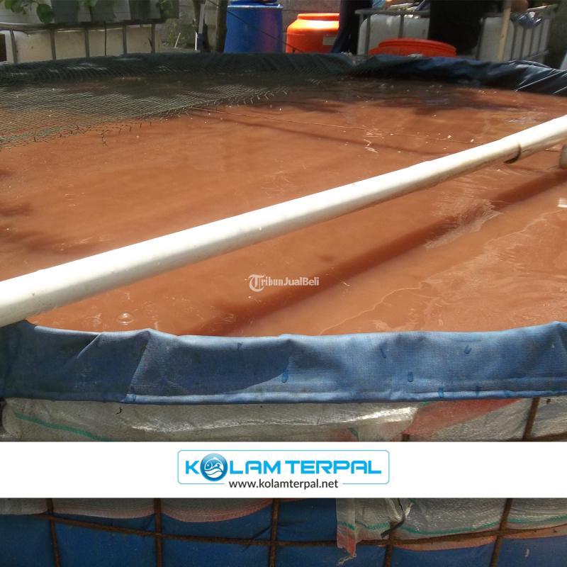 Produksi Kolam Terpal Bangka Selatan