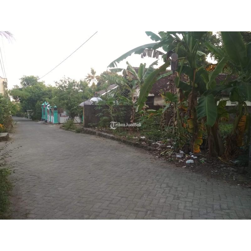 Tanah Strategis SHM Pekarangan dekat Kampus UII Terpadu Kaliurang Cocok untuk Kost Eksklusif