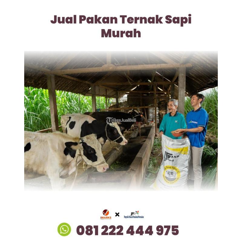 Hub. 081 222 444 975, Konsentrat Sapi Murah di Jawa Timur Jab Feed