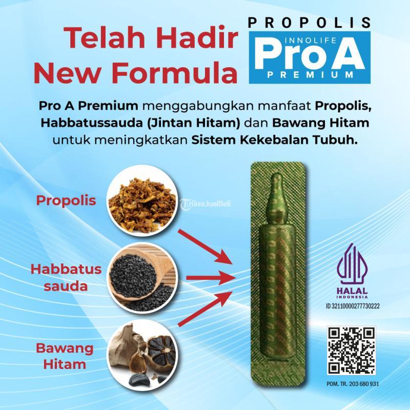 Immune Booster Pro A Premium Habbatussauda Black garlic, Malang, Surabaya, Denpasar