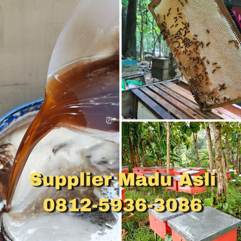COD, Supplier Madu Asli Terdekat Mariso Makasar 0812-5936-3086 Harga Madu Asli Indonesia Termurah