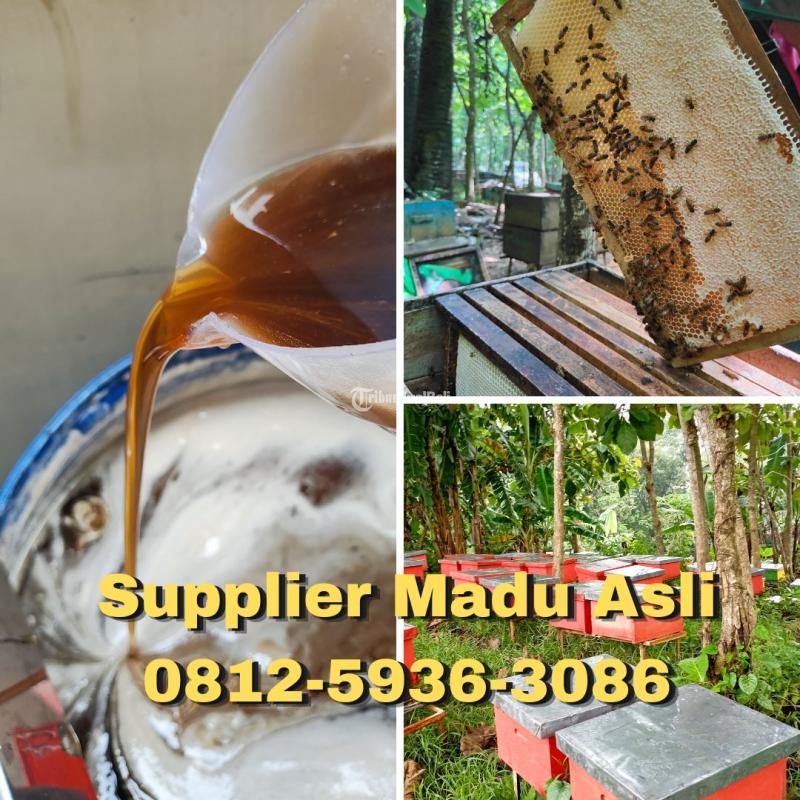 PROMO, Supplier Madu Asli Terdekat Makassar 0812-5936-3086 Harga Madu Asli Murah