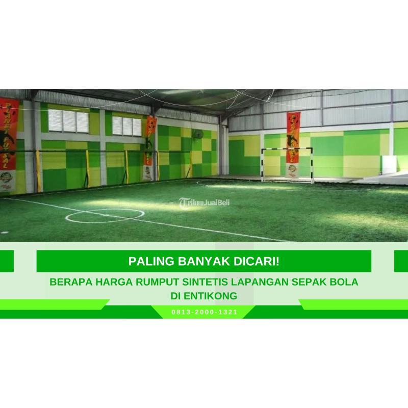 Berapa Harga Rumput Sintetis Lapangan Sepak Bola Di Entikong