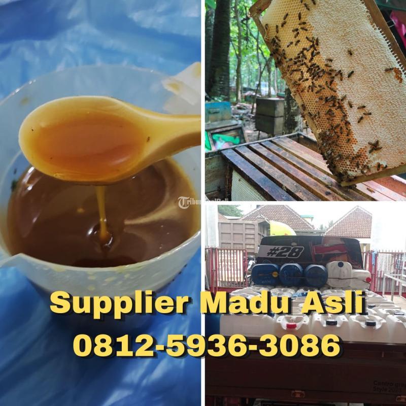 TERMURAH, Grosir Madu Asli Murni Terdekat Cirebon 0812-5936-3086 Harga Madu Asli Murah