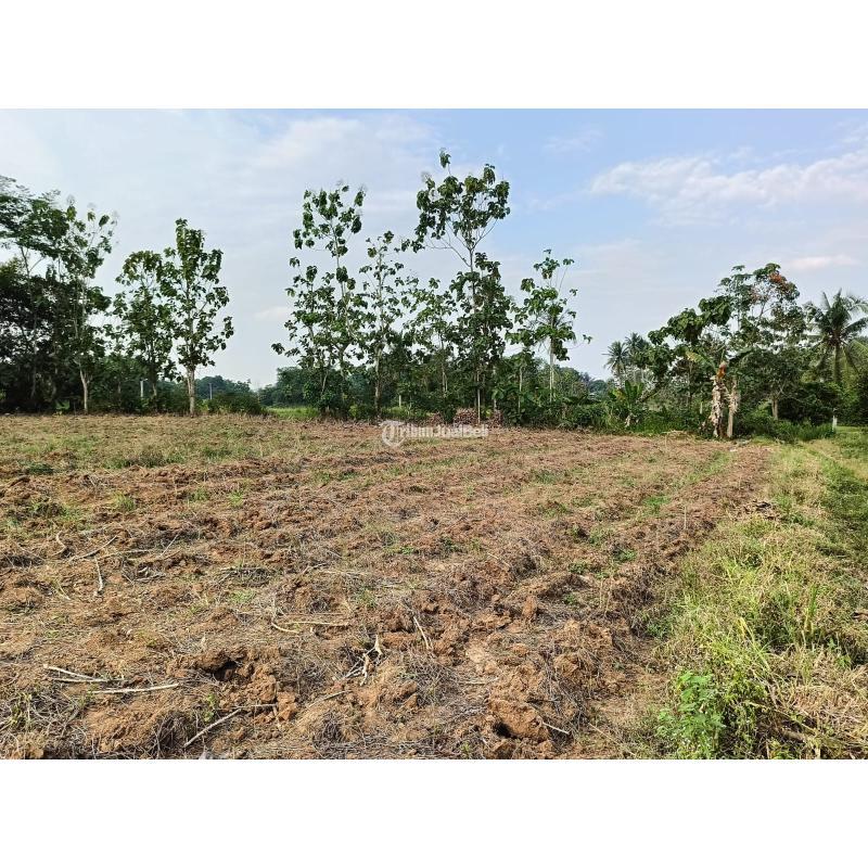 TANAH MURAH DEKAT KAMPUS ITERA SURAT TERIMA PECAH SERTIFIKAT SHM