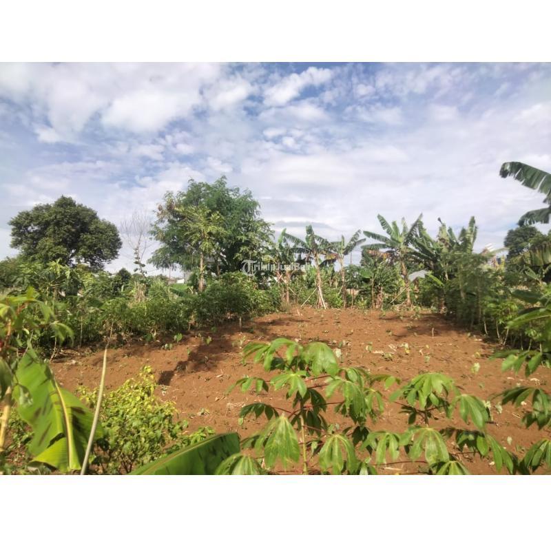 Lahan Strategis Murah di Cikereteg Caringin Bogor