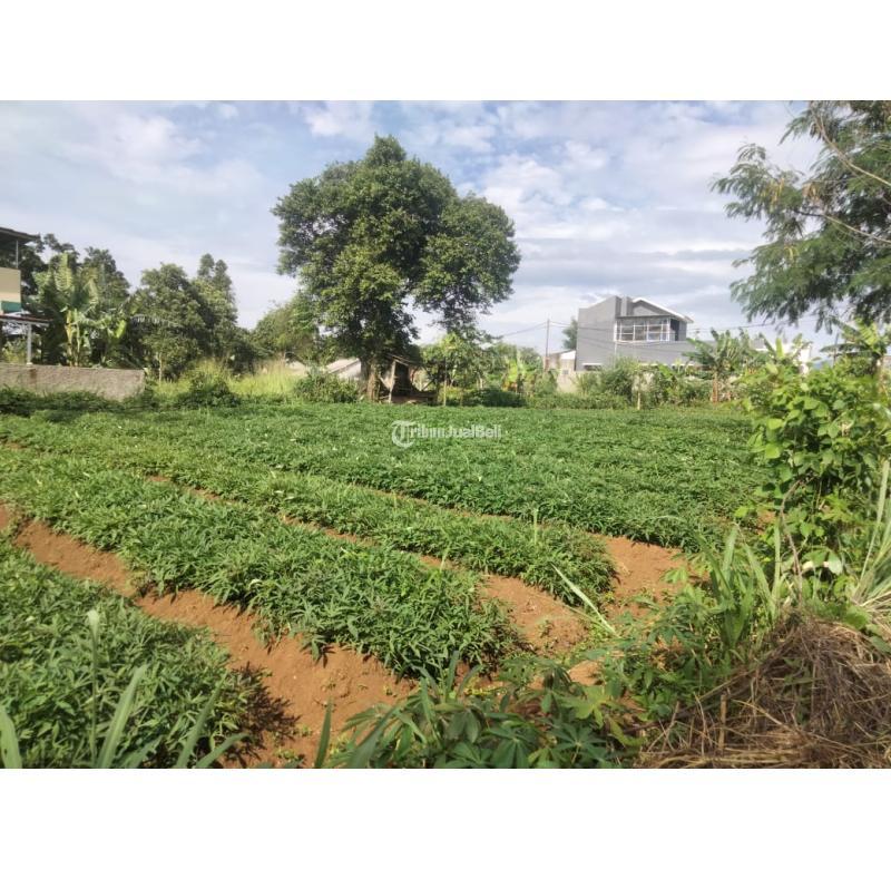 Lahan Strategis Murah di Cikereteg Caringin Bogor