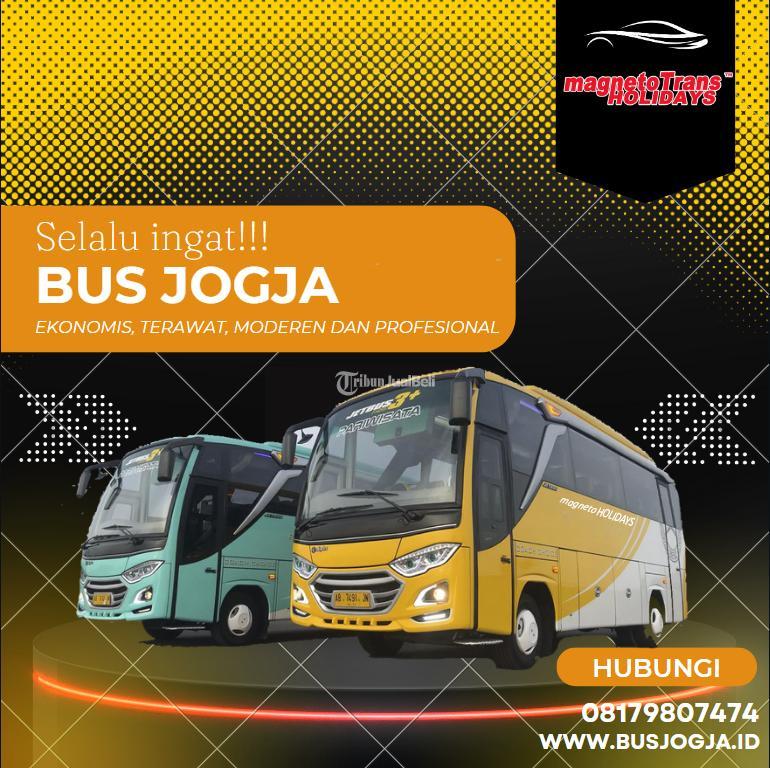 Sewa Bus Harga Murah Dan Terpercaya Di Yogyakarta Tribun Jualbeli