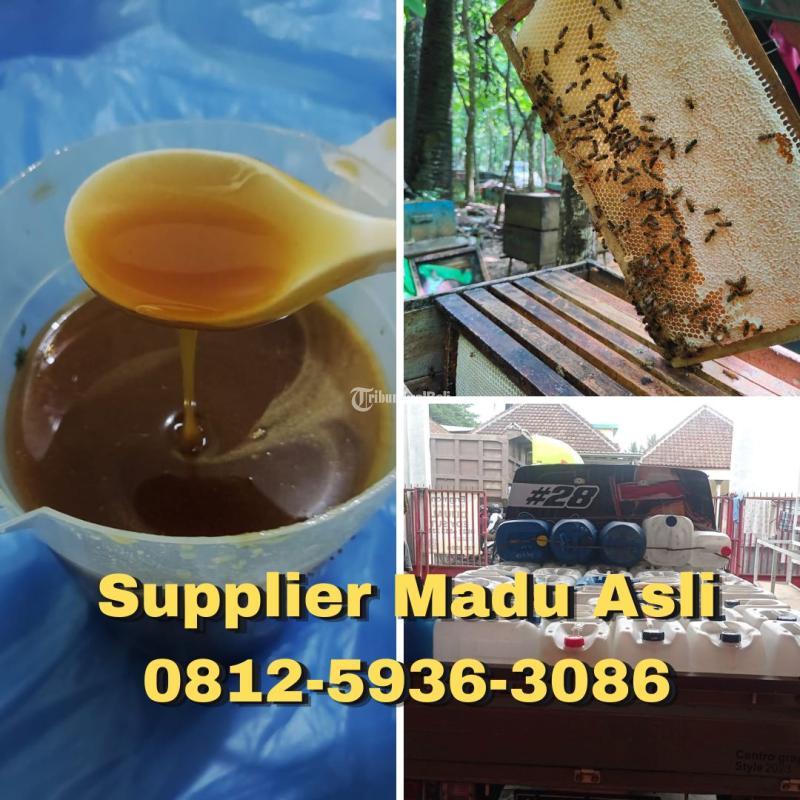 Termurah, Grosir Madu Asli Terdekat Banyuwangi 0812-5936-3086 dari Sarang Madu Asli Hutan dan Ternak