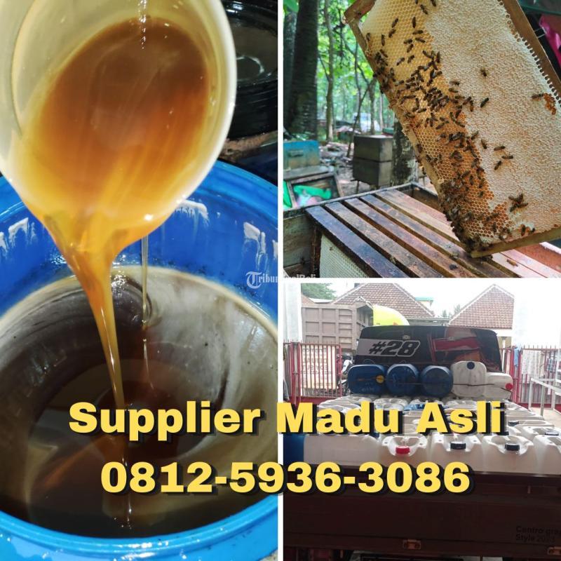 Termurah, Grosir Madu Asli Terdekat Banyuwangi 0812-5936-3086 dari Sarang Madu Asli Hutan dan Ternak