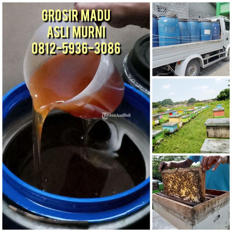 COD, Grosir Madu Asli Hutan dan Ternak 0812-5936-3086 Madu Asli Terdekat SurabayaCOD, Grosir Madu Asli Hutan dan Ternak 0812-5936-3086 Madu Asli Terdekat Surabaya