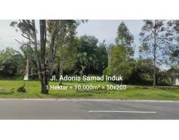 Dijual Cepat Tanah Jalan Adonis Samad Induk 1 Hektar Palangkaraya