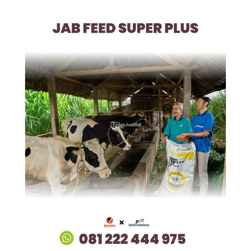 Hub. 081 222 444 975, Pakan Ternak Konsentrat di Jawa Timur Jab Feed