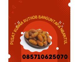 Pusat kurma  Ruthob Banguntapan Bantul