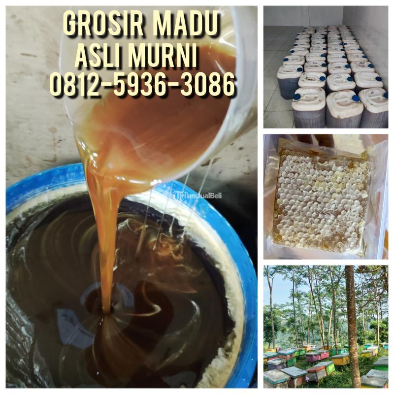 Termurah Grosir Madu Asli Terdekat - Surabaya Jawa Timur