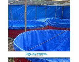 Produksi Kolam Terpal Landak