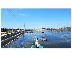 Tanah 21,5 hektare HGU Gerokgak Buleleng Bali