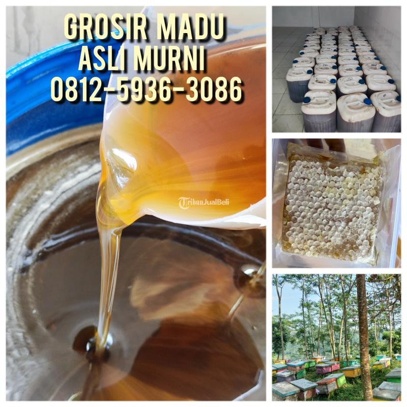 PROMO, Grosir Madu Asli Indonesia Terdekat Bekasi 0812-5936-3086 Harga Madu Asli Murah